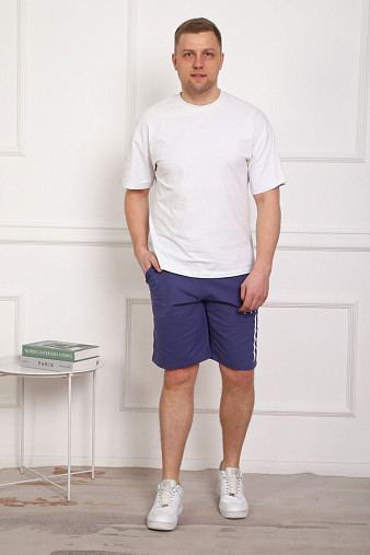 Шорты муж. Хамелеон футер индиго