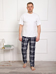 Брюки мужские Легион сине-белый/клетка