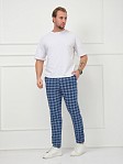 Брюки мужские Легион синий/клетка