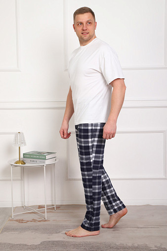 Брюки мужские Легион сине-белый/клетка