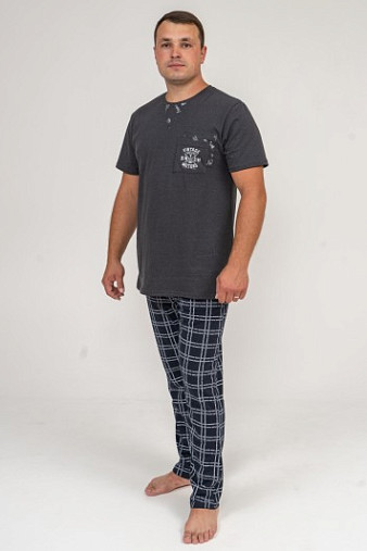 Брюки мужские Легион т-синий/клетка