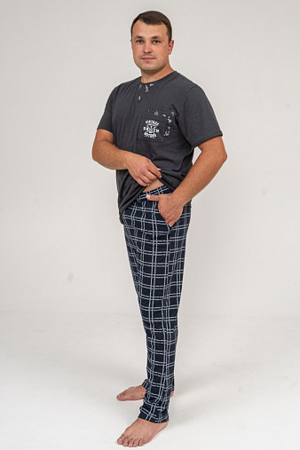 Брюки мужские Легион т-синий/клетка