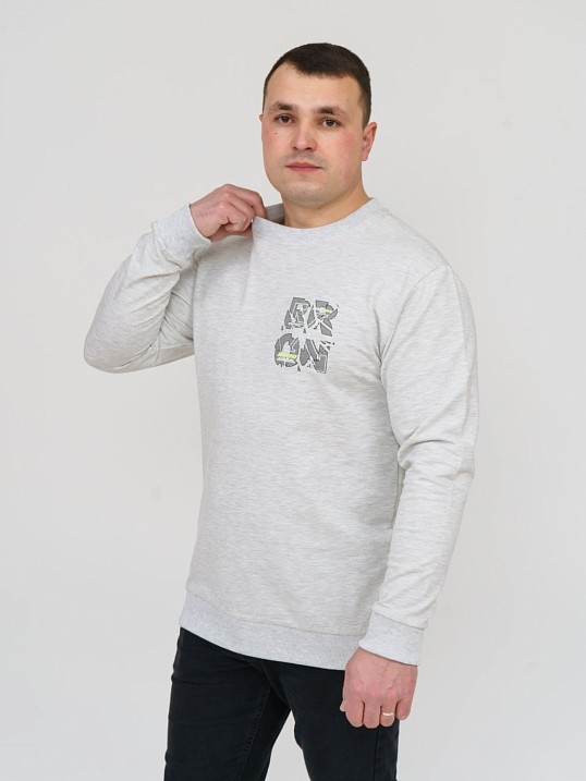 Толстовка мужская Эталон светло-серый