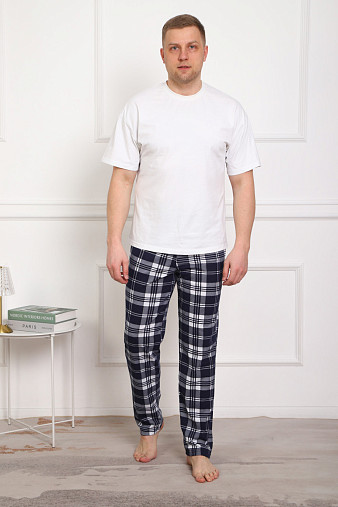 Брюки мужские Легион сине-белый/клетка