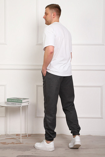 Брюки мужские теплые т.серый