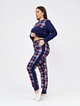 Костюм Константа без капюшона синий/клетка