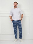 Брюки мужские Легион синий/клетка