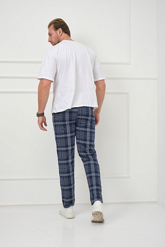 Брюки мужские Легион индиго/клетка