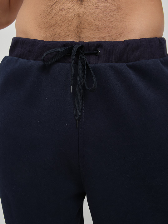 Брюки мужские теплые синий