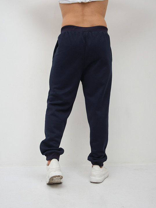 Брюки мужские теплые синий