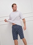 Шорты мужские Дачник индиго/надпись