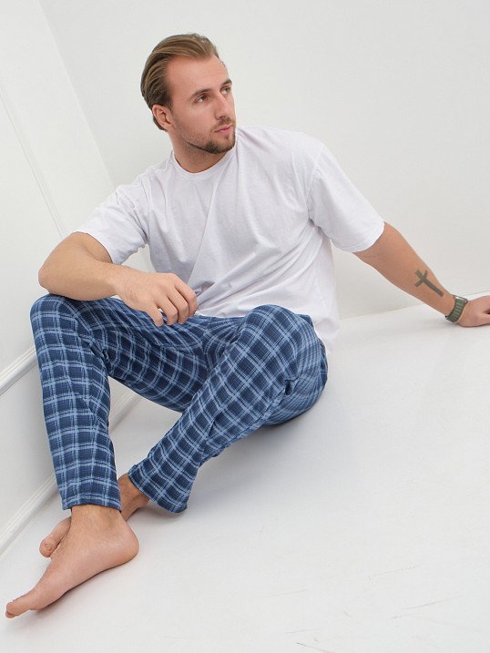 Брюки мужские Легион синий/клетка