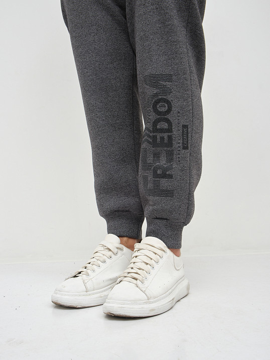 Костюм муж. Дэнди 3-х нитка начес т.серый