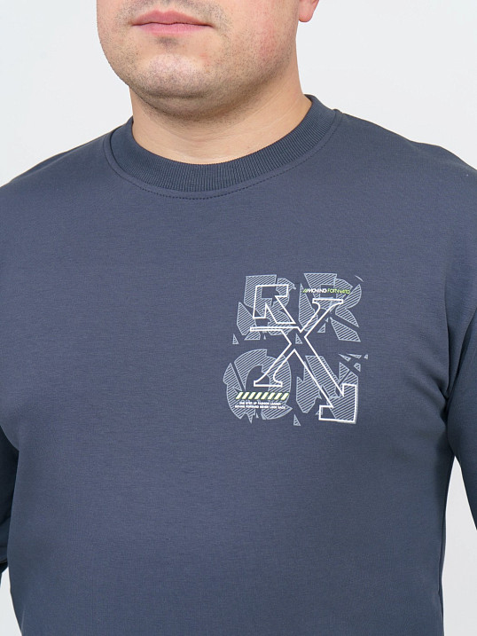 Толстовка мужская Эталон фуме